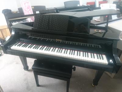 【神奈川、東京、埼玉、千葉県一部送料無料】Roland　RG-3F-PE 神奈川、東京、埼玉、千葉県一部送料無料】Roland RG-3F-PE