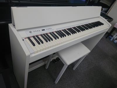 Roland F-110