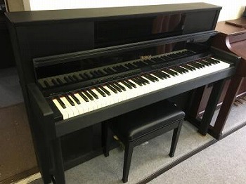 Roland LX 10 SB